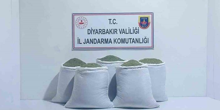 Diyarbakır’da 230 kilo toz esrar yakalandı