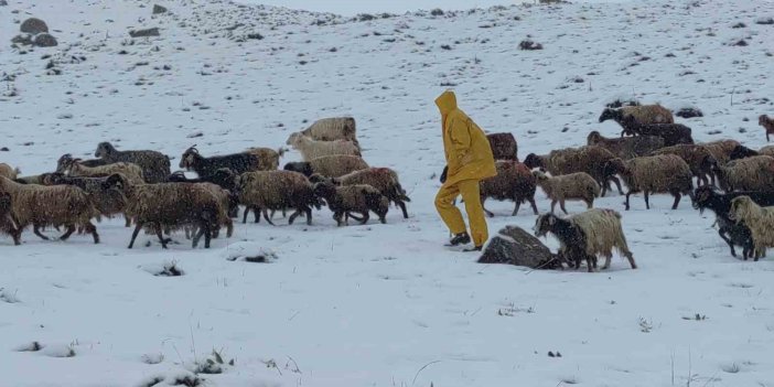 Kar yağışına yakalanan koyun sürüsü ağıllara geri götürüldü