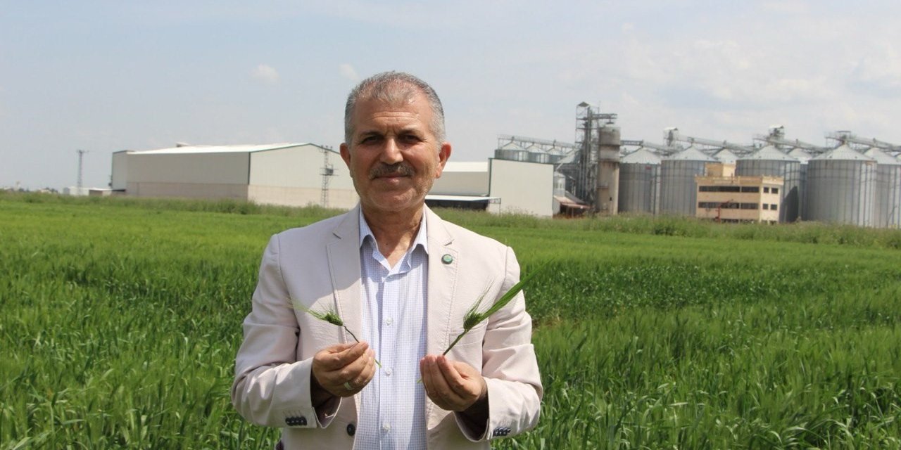 Mardin'de buğday için geri sayım başladı: Çiftçi yüksek verim bekliyor