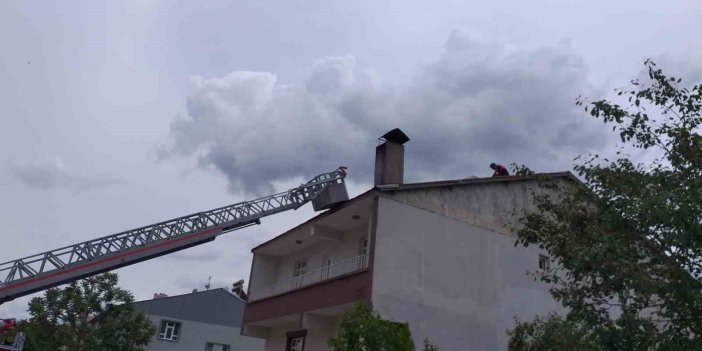 Genç'te cami kubbesindeki leylek yuvası, yıkım nedeniyle taşındı