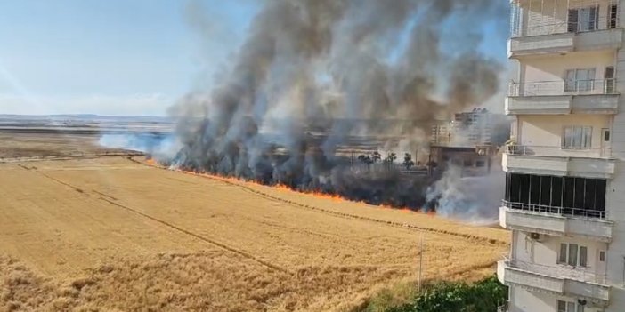 Nusaybin'de yaklaşık 250 dönüm buğday tarlası küle döndü