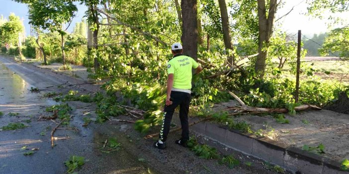 Malatya’da 15 dakikalık fırtına ağaçları devirdi