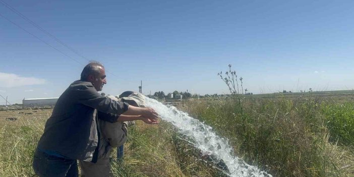 Jeoloji mühendisi Çelik Merdin'de su kaynaklarını tespit ediyor