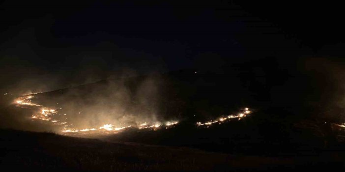 Şanlıurfa'da ormanda korkutan yangın