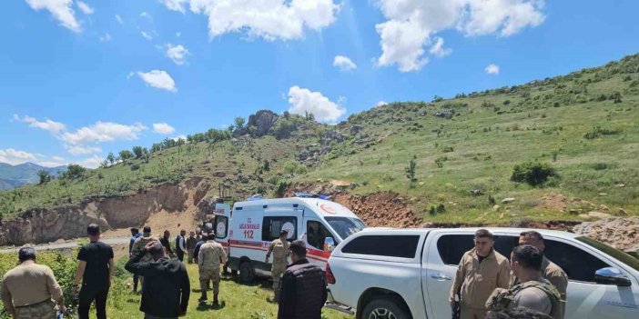 Siirt'te kamyonet şarampole yuvarlandı