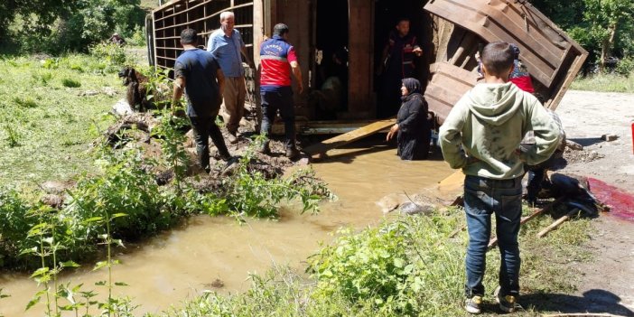 Hakkari'deki kazada ölen küçükbaş hayvanlar gömüldü