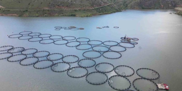 Tercan Barajı’nda 150 kafeste üretim sağlanıyor