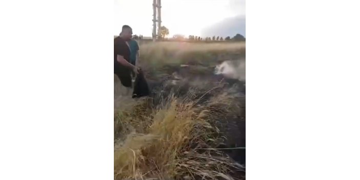 Binlerce dönümlük arpa tarlası yangınına vatandaşlar müdahale etti