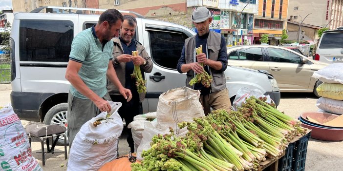 Yüksekova’da pancar ve uçkun toplama sezonu ekmek kapısı oldu