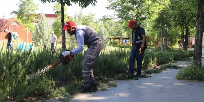 Yenişehir Millet Bahçesi bakımı yapıldı