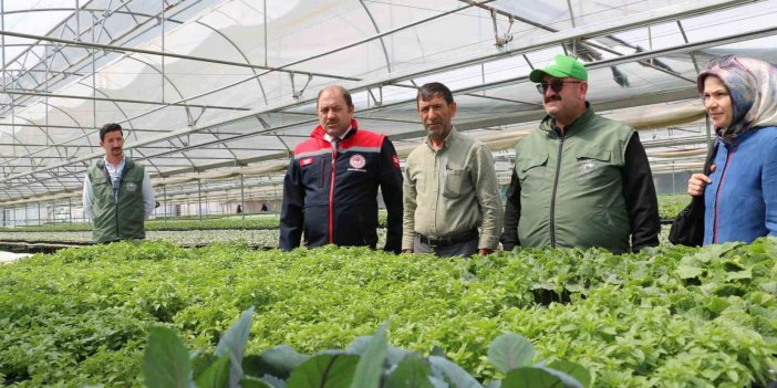 Bölgenin fidesi Erzincan’da hareketlilik