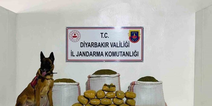 Lice’de 76 kilo toz esrar ele geçirildi