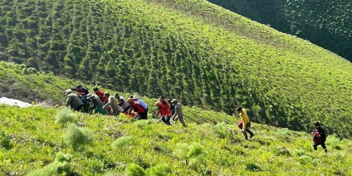 Van’da ot toplarken kayalıklardan düşen şahıs kurtarıldı