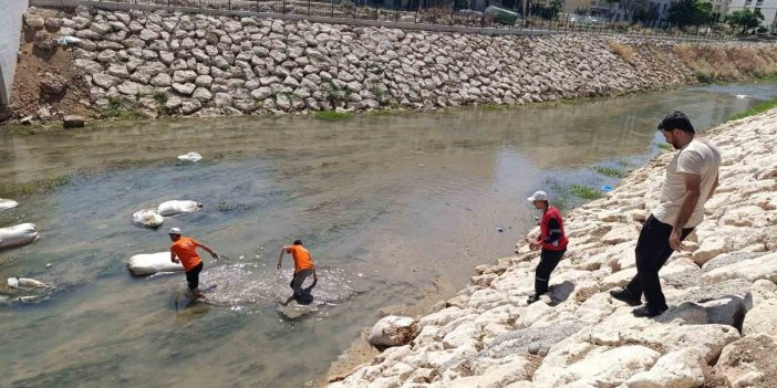 Nusaybin’de Çağ Deresi’ne atılan çöpler ekiplerce temizlendi