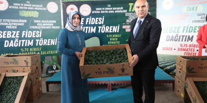 Ağrı’da 500 işletmeye 250 sebze fidesi dağıtımı yapıldı