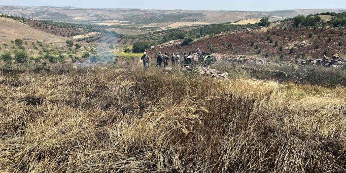 15 dönüm alanda ekili buğday kül oldu