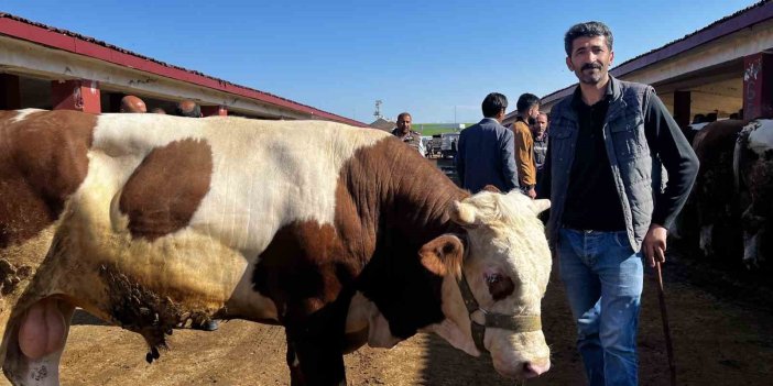 Doğudan batıya kurban sevkiyatı düşüşte