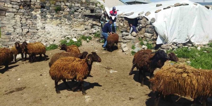 Ağrı’da çiftçilere hibe desteği sağlandı