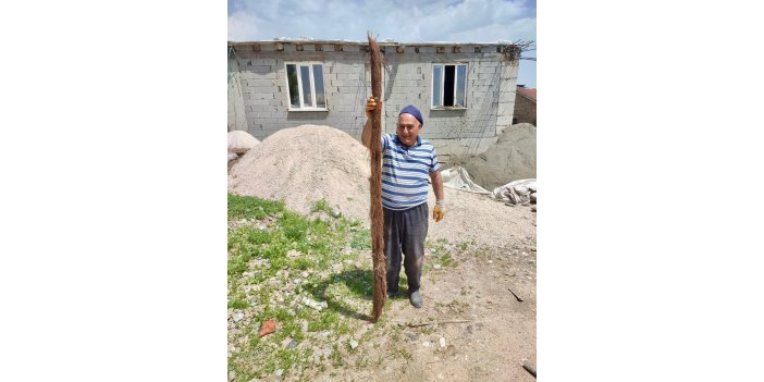 Yüksekova’da doğal kaynak su borusundan metrelerce bitki kökü çıktı