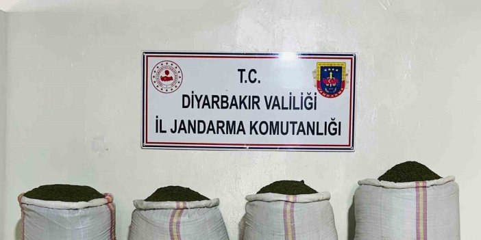 Diyarbakır’da 34 bin 500 kök kenevir ve 112 kilo esrar yakalandı