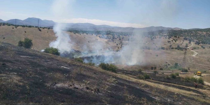 Elazığ’da ot yandı