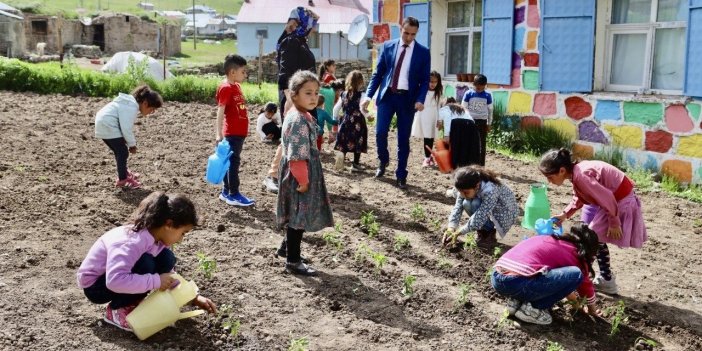 Atıl alanı organik tarım alanına çeviren öğretmen, ürünlerin geliriyle öğrencilerin eğitim ihtiyaçlarını karşılıyor