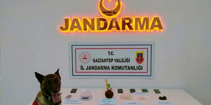 Gaziantep jandarma 2 ayda 823 şüpheli yakaladı