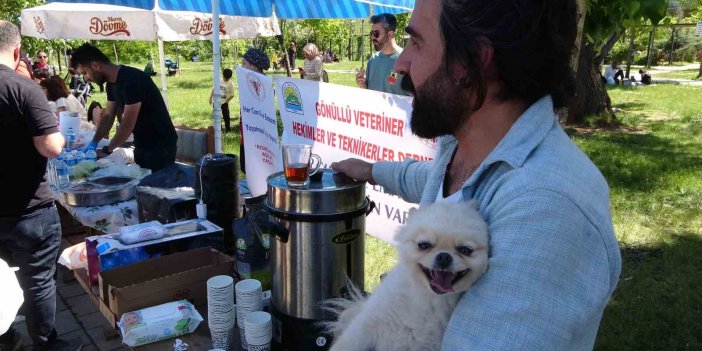 Tatvan'da hayvan severler sokak hayvanları yararına yardım kampanyası başlattı