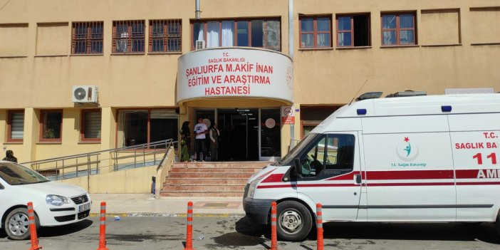 Kuduz çıkan köpek Şanlıurfa'da bir vatandaşı ısırdı