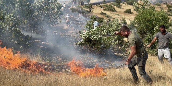 Mazıdağı’nda 20 dönüm ekili arazi yanarak kül oldu