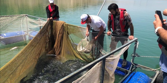 Şırnak Üniversitesi proje kapsamında 25,5 ton balık üretimi yaptı