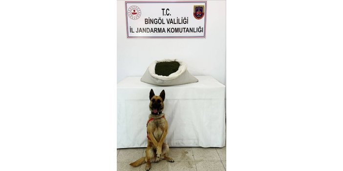 Bingöl’de 3 günde 42 kilo uyuşturucu maddesi yakalandı