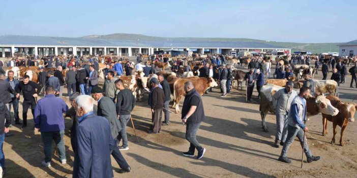 Kars’ta kurban satışlarına start verildi