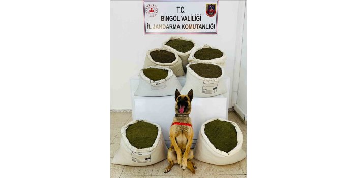 Bingöl’de yapılan operasyonda araziye gizlenmiş 150 kilo uyuşturucu madde ele geçirildi
