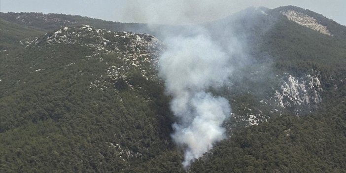 Muğla'nın Milas ilçesinde orman yangını çıktı