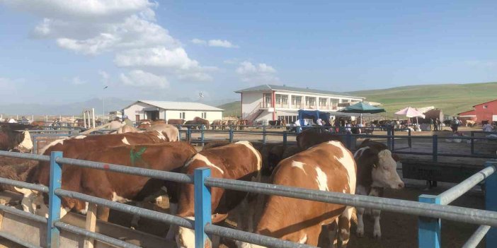 Erzurum'da kurban pazarları hareketleniyor