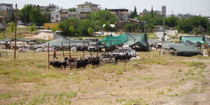 Kurban kesim ve satış alanları belli oldu