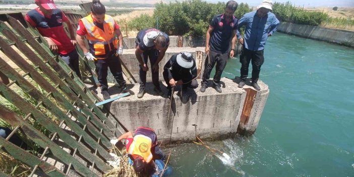 Kozluk'ta sulama kanalında kaybolan çobanı arama çalışmaları sürüyor