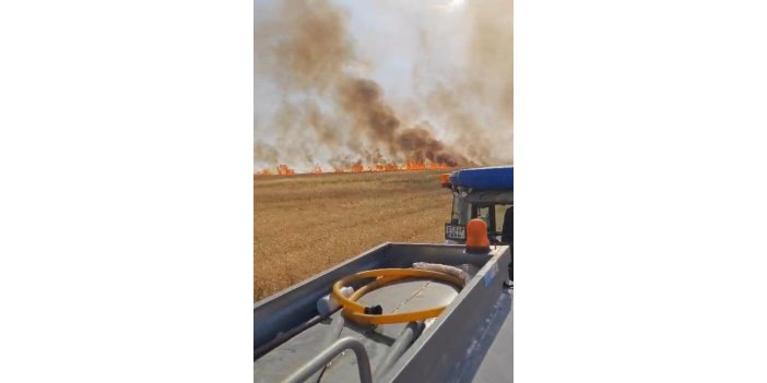 Biçerdöverden çıkan yangın 500 dönüm buğdayı yaktı