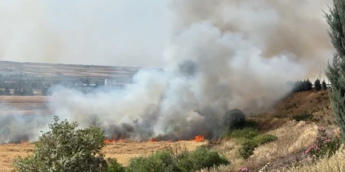 Diyarbakır’da 300 dönüm ekili buğday yandı