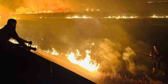 Cizre’deki anız yangını ekili alanlara ulaşmadan söndürüldü