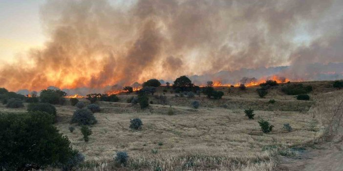 Mardin’de ormanlık alanda çıkan yangın söndürüldü