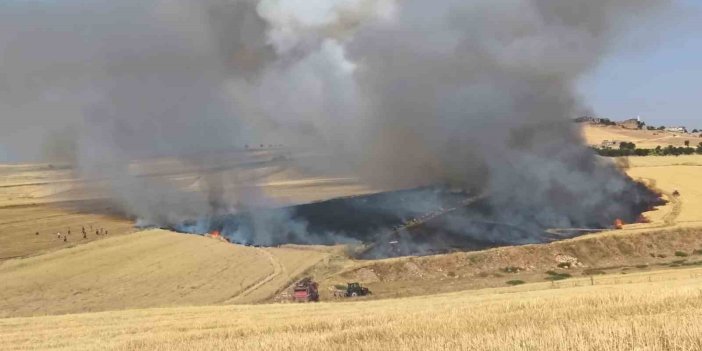 Mardin'de arazisi kül olan tarla sahibi biçerdöver şoförünü darp etti