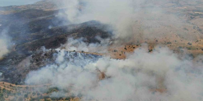 Elazığ’da orman yangınına havadan müdahale devam ediyor