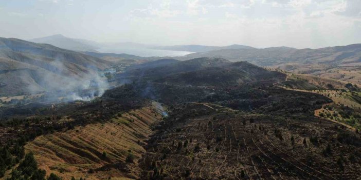 Elazığ’da orman yangını kontrol altına alındı, yüzlerce dönümlük alan küle döndü