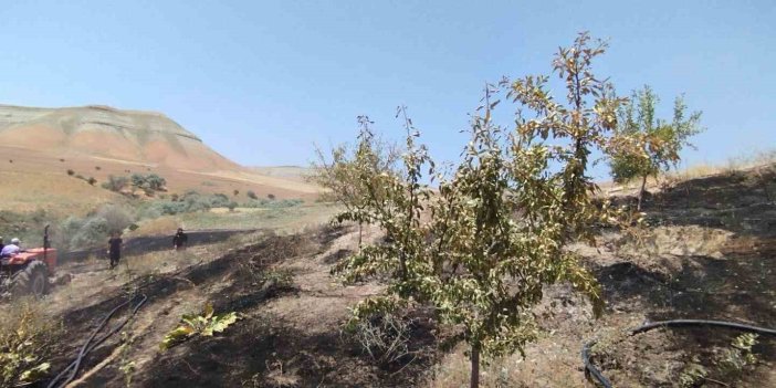 Çıkan yangın badem ve fıstık ağaçlarına zarar verdi