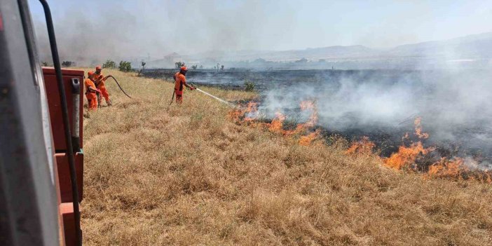 Bingöl’de yaklaşık 100 dönümlük tarım alanı kül oldu