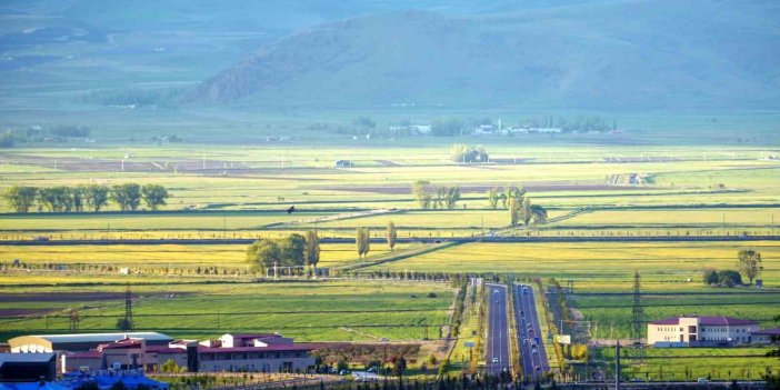 Doğu’da tarımsal alanların yüzde 68’i ekiliyor