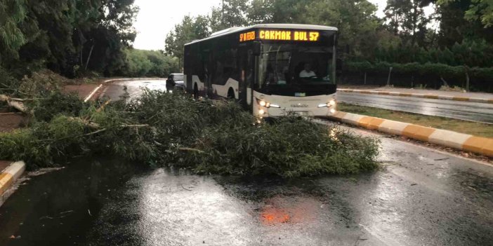 Urfa’da fırtınada ağaçlar devrildi, yollar göle döndü