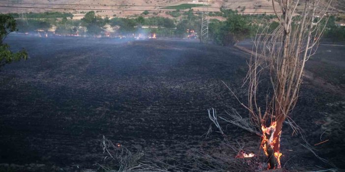 Elazığ’da yangın: 20 dönüm ekili alan küle döndü